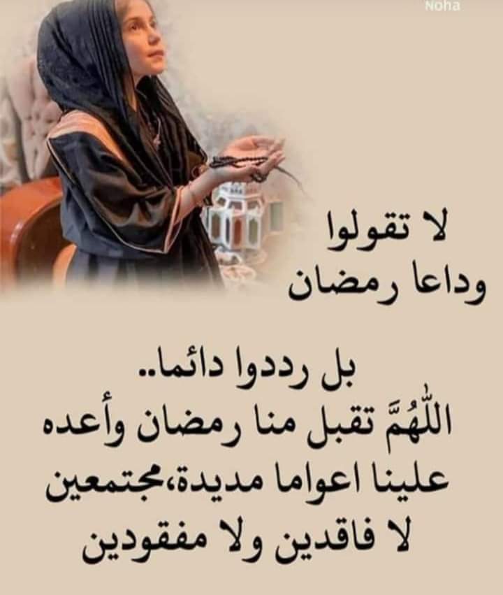 sayedsefi tweet picture