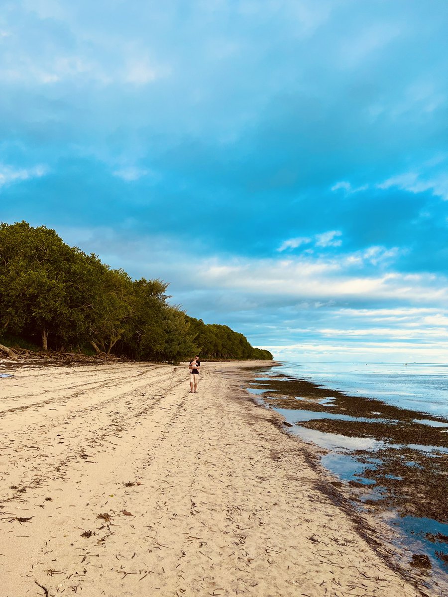 Nellwynndraws's tweet photo. #sheratondeva 💙 https://t.co/EdSrgUscZG