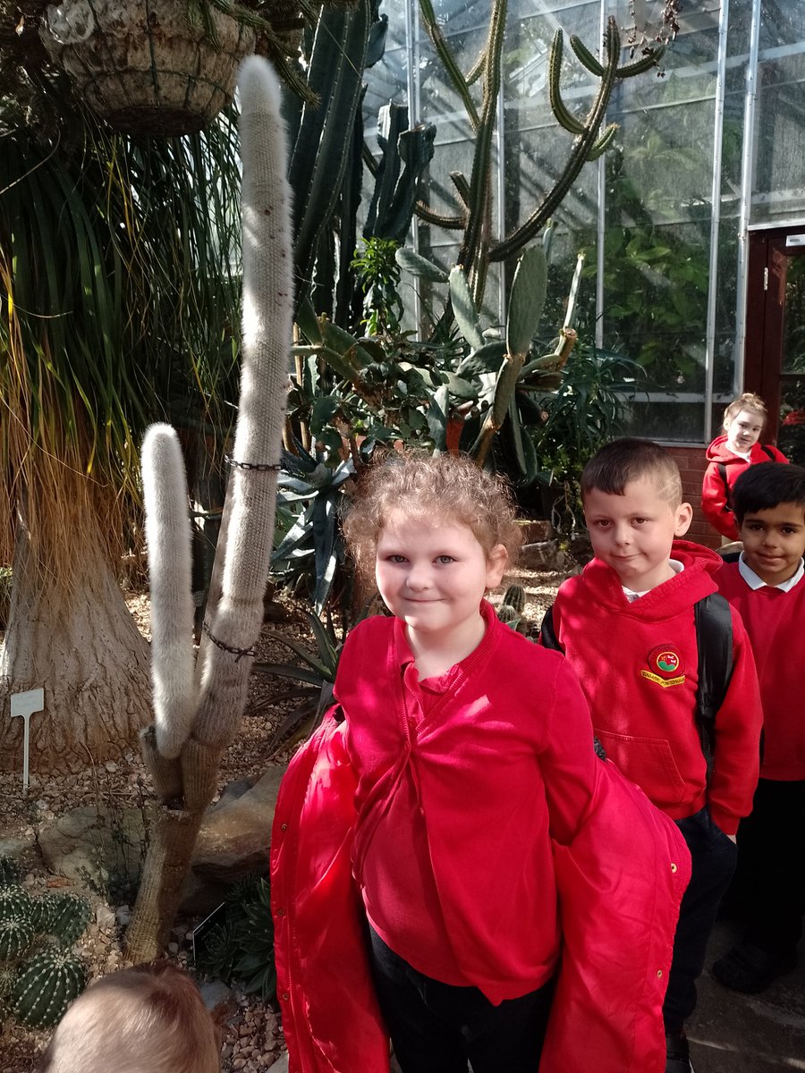 CraigfelenP's tweet photo. Year 1 & Year 2 are loving our visit to Swansea Botanical Gardens! The Glasshouses are amazing and we saw a crocodile! #cfp2 #cfp1 #thescentedgarden https://t.co/zbJ7KrEoeJ