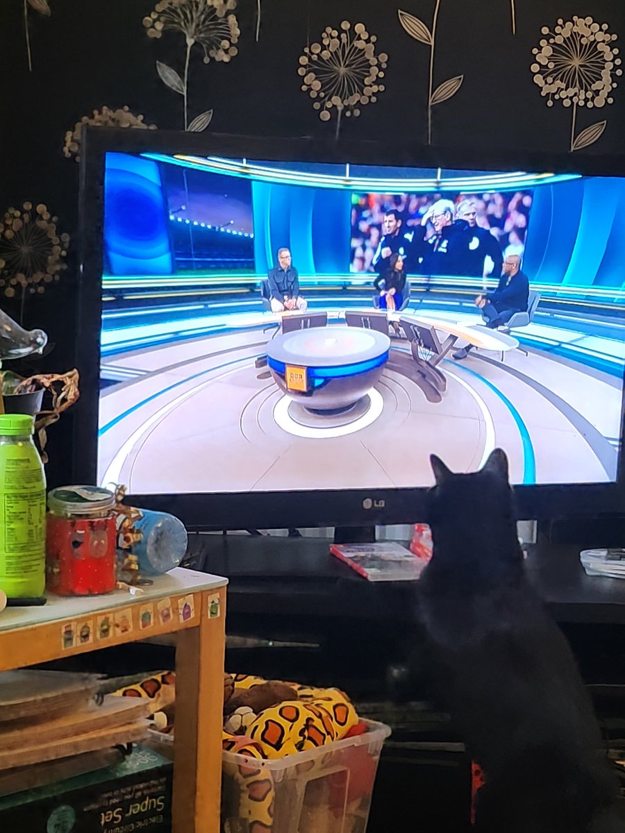 Stephen Kingdom tweet media