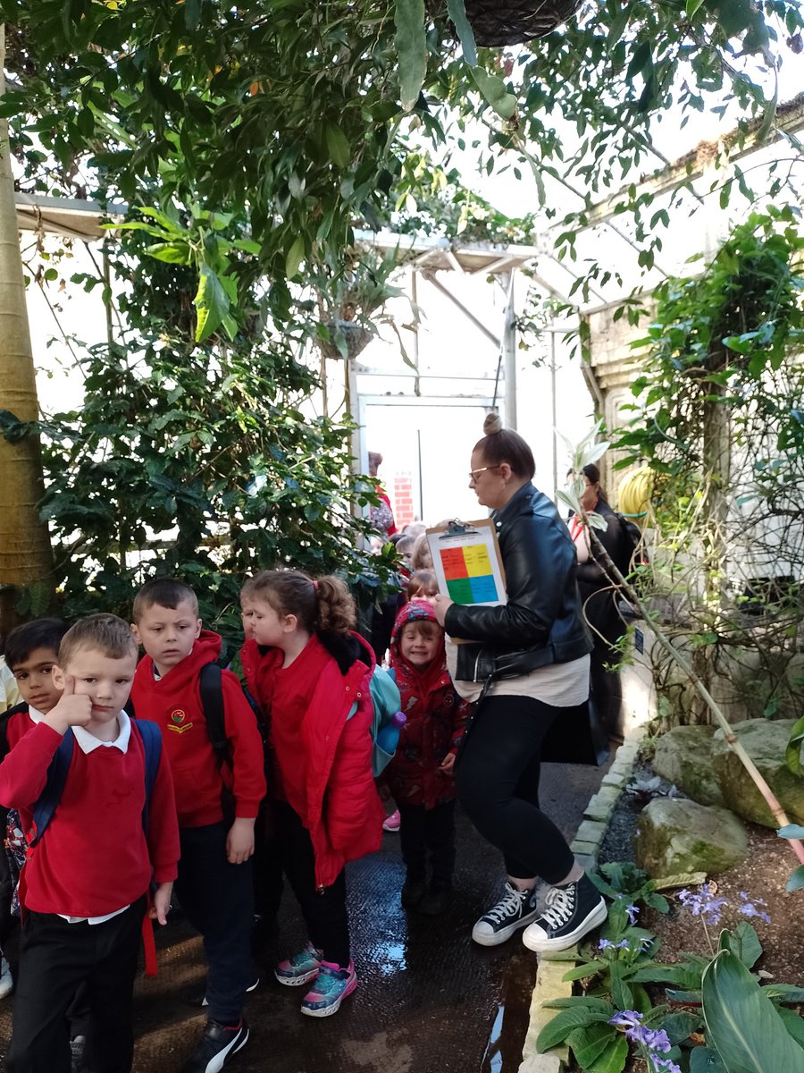 CraigfelenP's tweet photo. Year 1 & Year 2 are loving our visit to Swansea Botanical Gardens! The Glasshouses are amazing and we saw a crocodile! #cfp2 #cfp1 #thescentedgarden https://t.co/zbJ7KrEoeJ