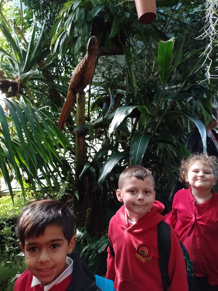 CraigfelenP's tweet photo. Year 1 & Year 2 are loving our visit to Swansea Botanical Gardens! The Glasshouses are amazing and we saw a crocodile! #cfp2 #cfp1 #thescentedgarden https://t.co/zbJ7KrEoeJ