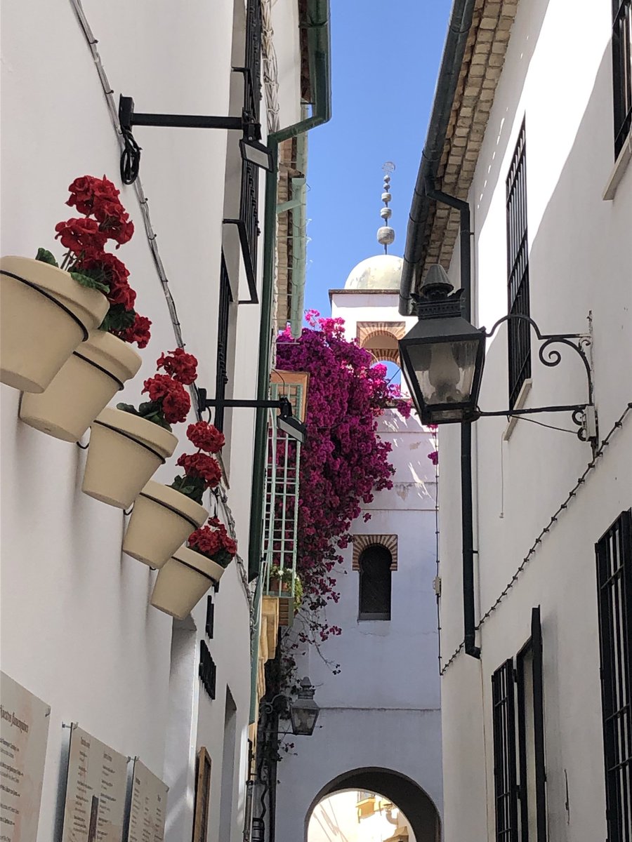 JDieuzaidePech's tweet photo. #pechgranada https://t.co/MwmxyNRmNv