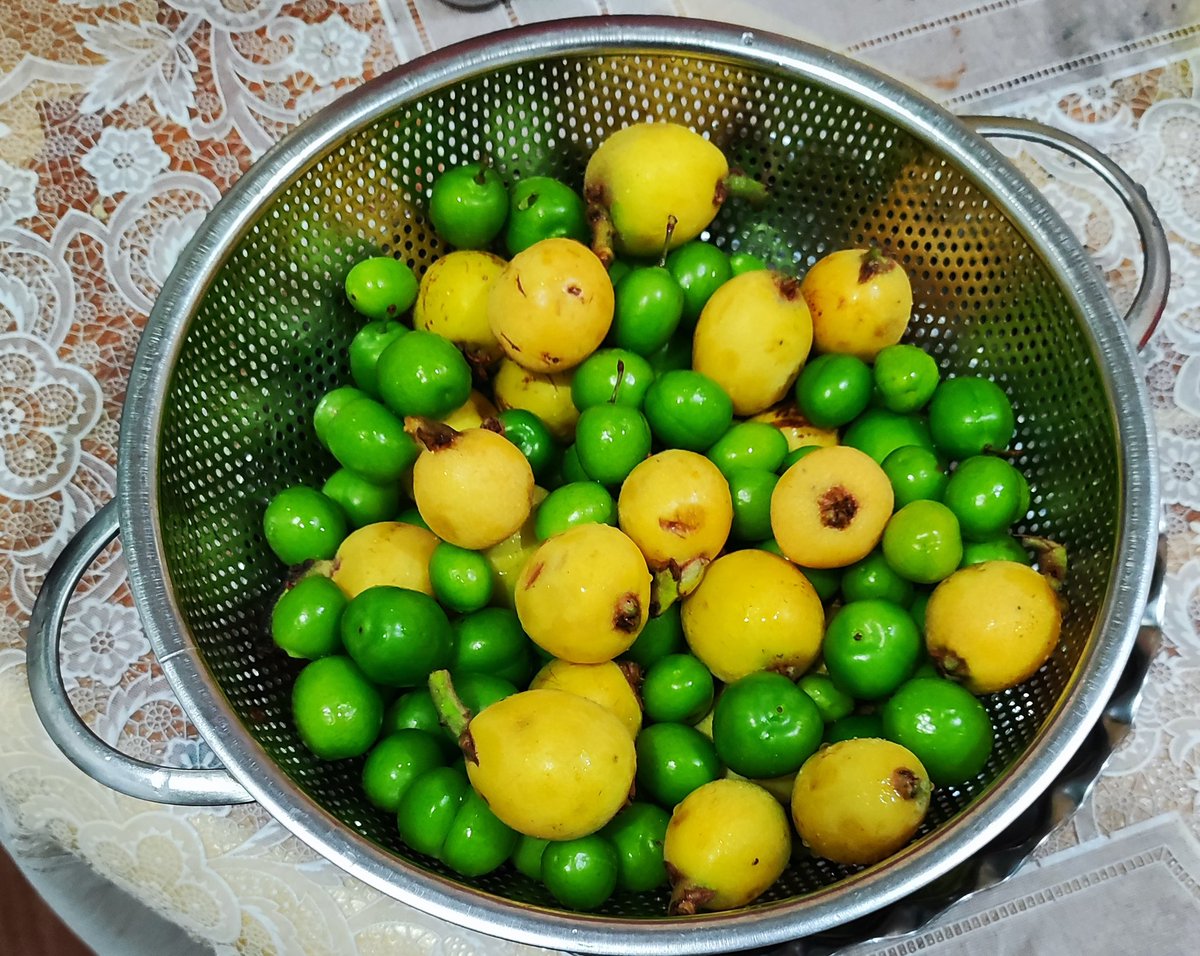 سلام ای مرهمِ خستگی بعد از کار
سلام حضرت یار