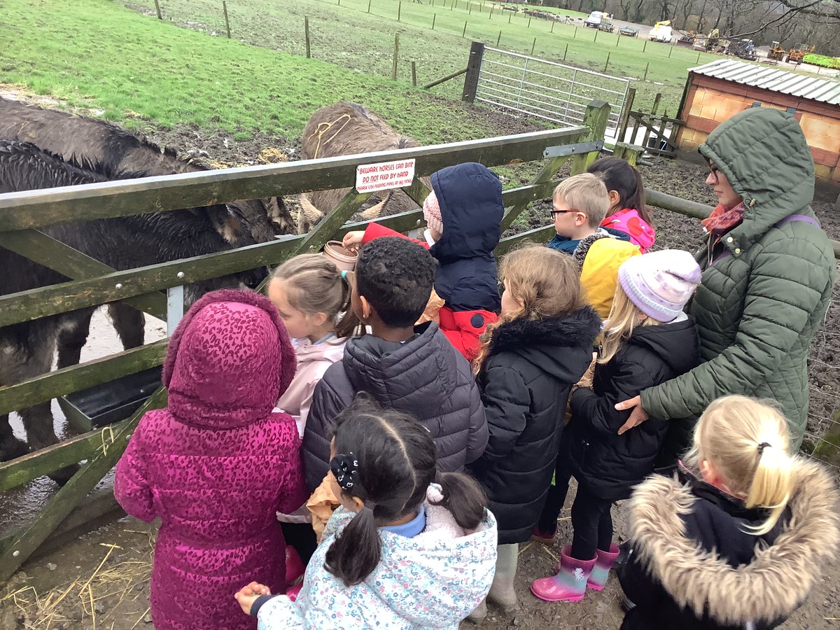 PPS Year 1 tweet media