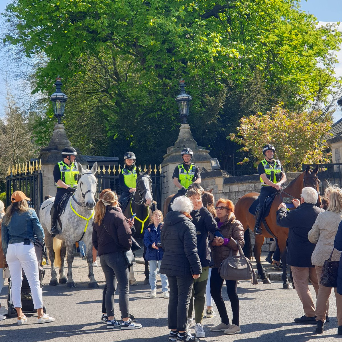Kathy__Anderson's tweet image. A few more photos of the lovely horses from @TVP_horses in #Windsor this morning. #changingoftheguard #windsorcastle