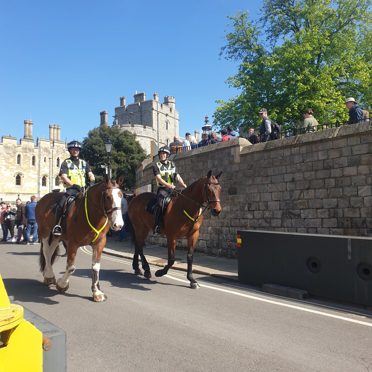 Kathy__Anderson's tweet image. A few more photos of the lovely horses from @TVP_horses in #Windsor this morning. #changingoftheguard #windsorcastle