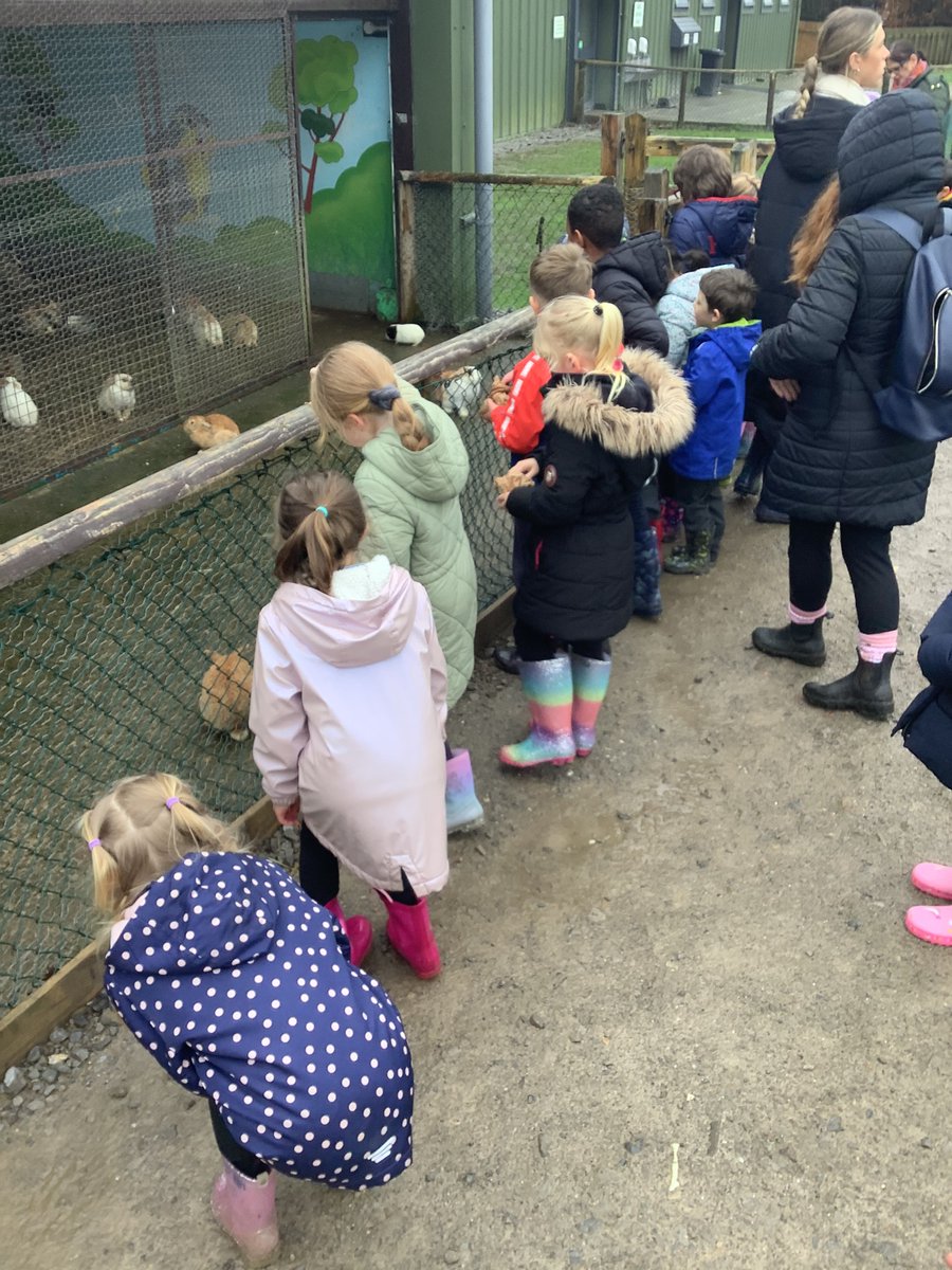 PPS Year 1 tweet media