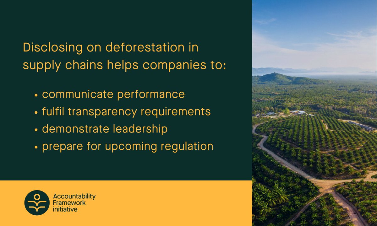 proforest's tweet image. By disclosing on deforestation &amp;amp; conversion companies can show their efforts to:

🌳 Avoid further conversion
🌳 Support ecosystem protection
🌳 Improve traceability
🌳 Manage supplier compliance

Read more from @AcctFramework below:
bit.ly/41DchxF