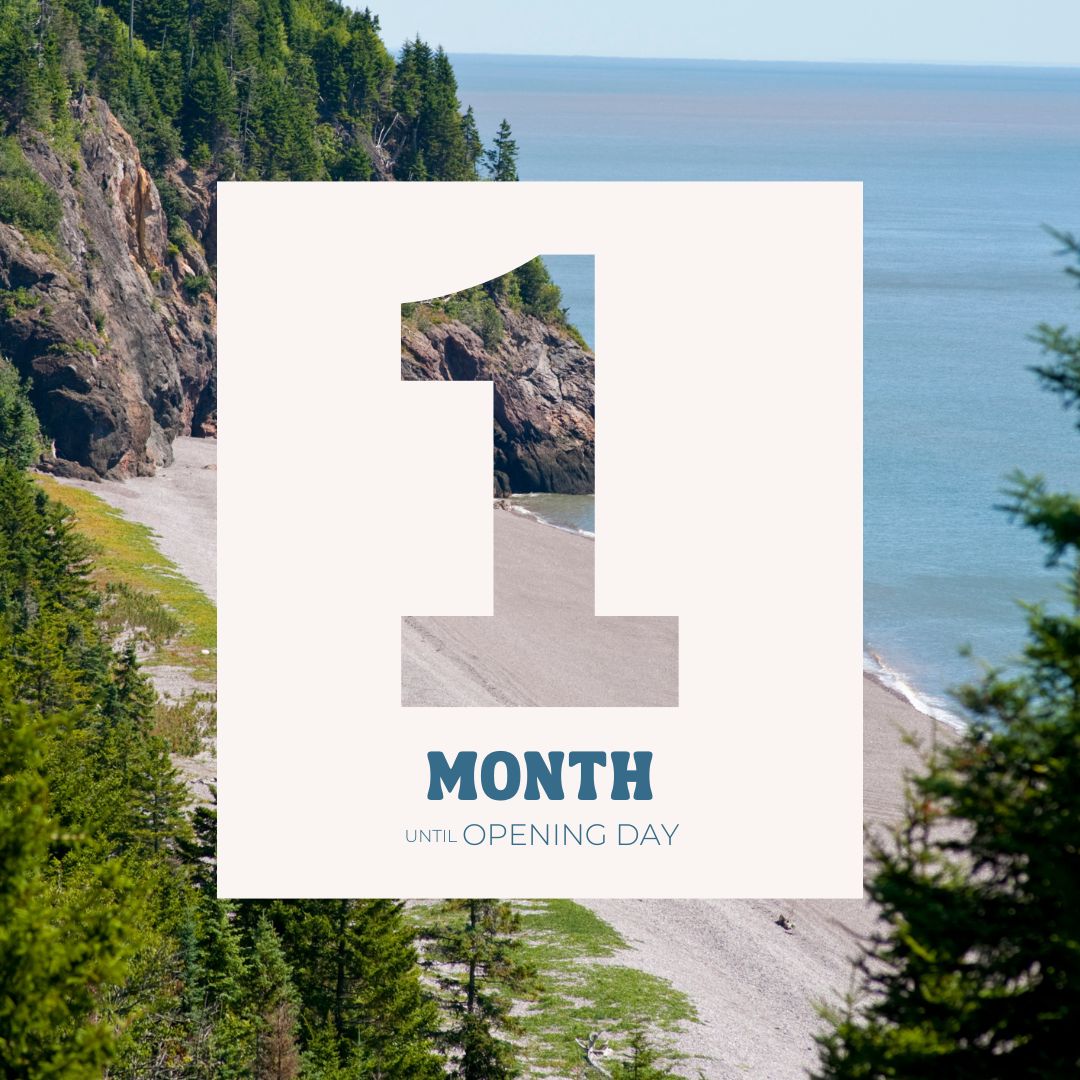 fundytrail's tweet photo. One month until we open!
After a long winter we are finally approaching another season of hikes, nature and sweet coastal drives! We can't wait to see everyone and are looking forward to our best season yet! https://t.co/HQaHmHNrfb