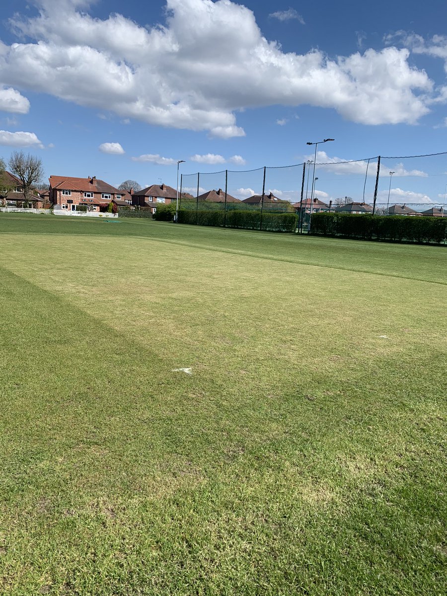 HSC Groundsman tweet media