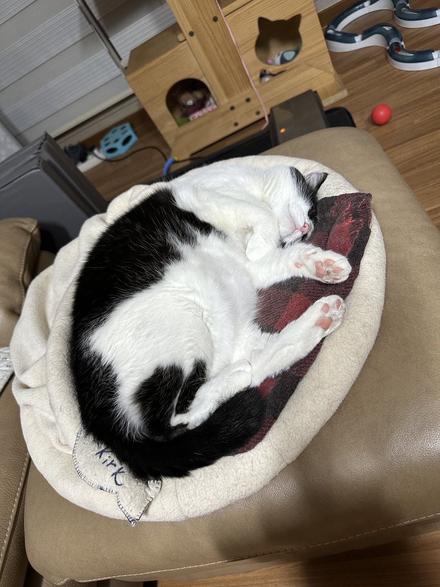 CatainKirk's tweet photo. 스팍 나우 https://t.co/M0SzE1tKYy