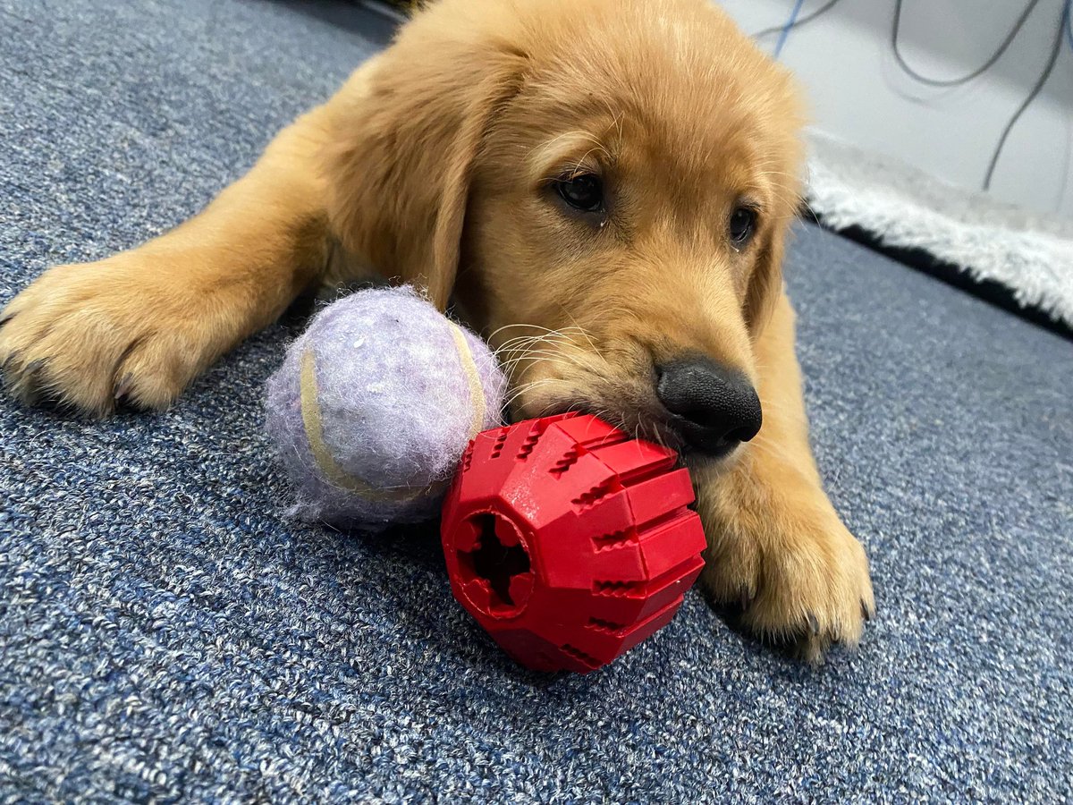 Bacon4EverEver tweet media