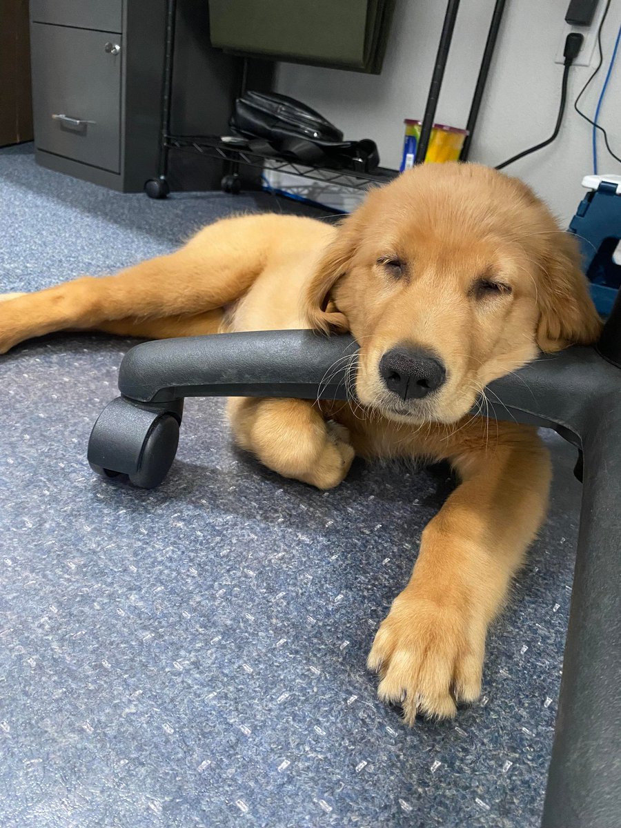 Bacon4EverEver tweet media