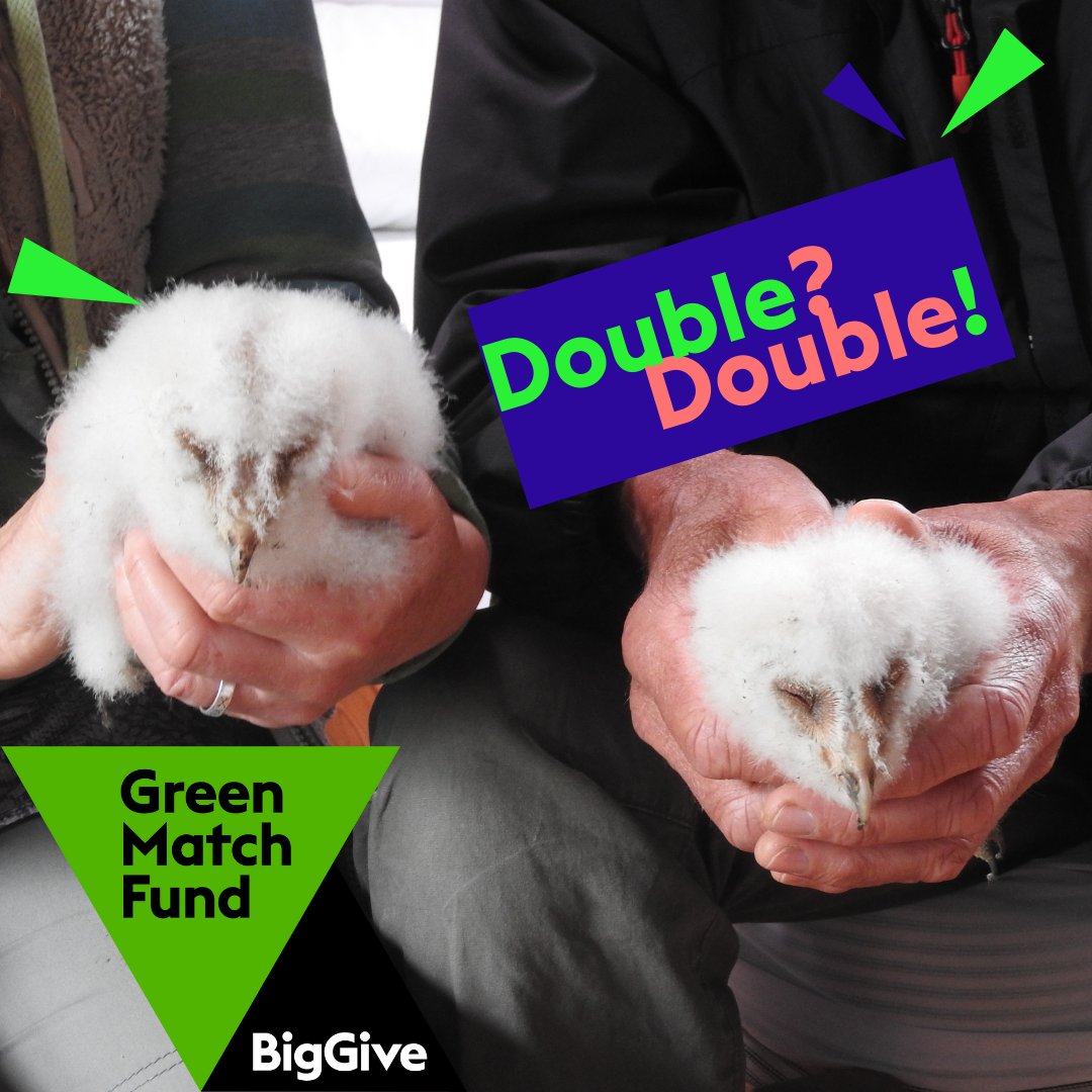 ... AND WE'RE OFF! One week of Green Giving with the #GreenMatchFund Big Give DOUBLE your donation & DOUBLE your impact for Nature Help us to raise £10,000 for our project Connecting Community & Nature. Please click here: donate.biggive.org/campaign/a0569…