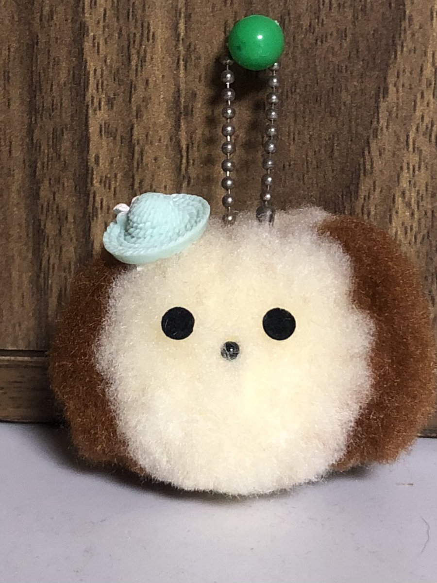 maytan2222's tweet photo. アクレーヌでポンポンを作ってみました😊
一応犬です🐶

#アクレーヌポンポン https://t.co/ZLVAP7nx27