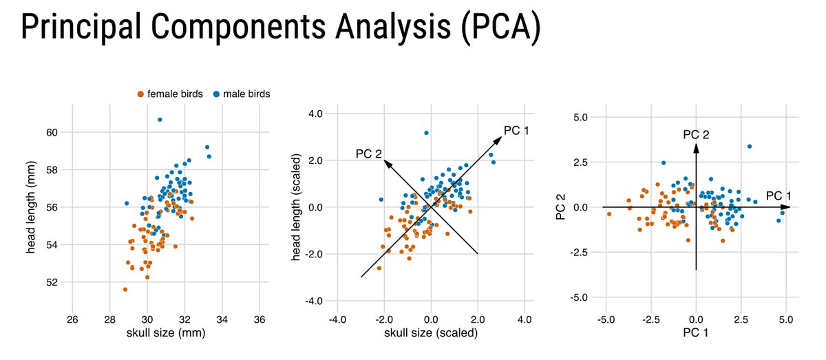 Rosana Ferrero 📈📊🙌 tweet media