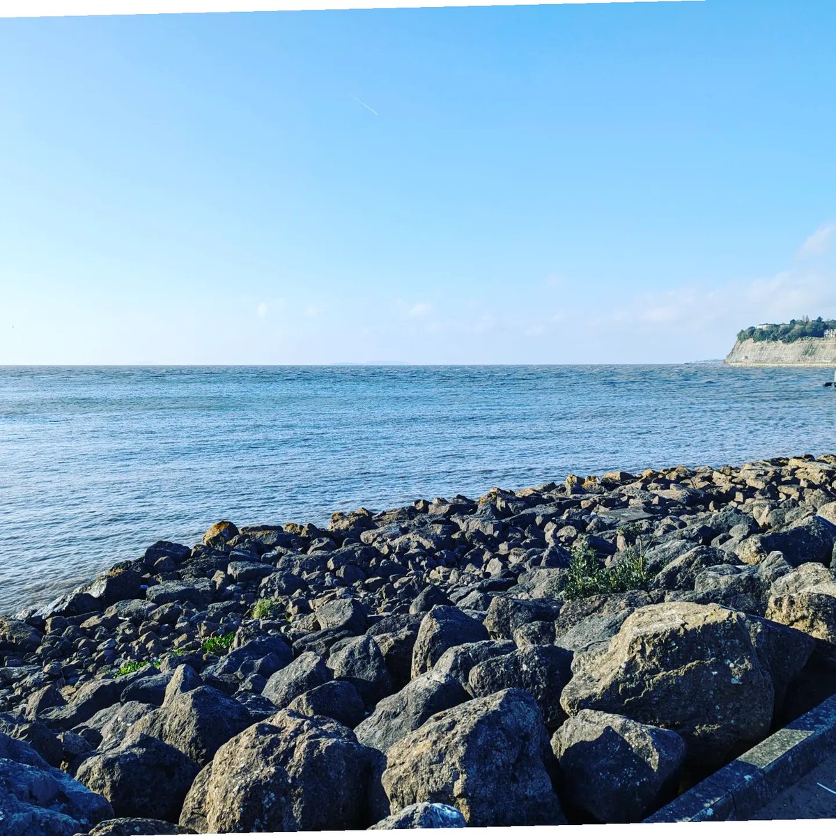 Dr Leah Broad tweet media