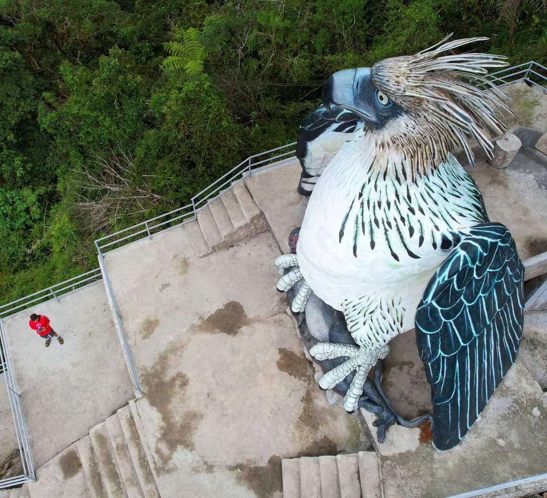 SouthernDCPost's tweet photo. #SDCP_Entertainment 

A  popular Content creator/Blogger Becoming Filipino post on social media about his recent adventures in Mountain Province.

A giant Philippine Eagle in Barlig, Mountain Province🦅

📷  Becoming Filipino

#BecomingFilipino 
#PhilippineEagle 
#SouthernDCPost https://t.co/iV6uCOzCYW