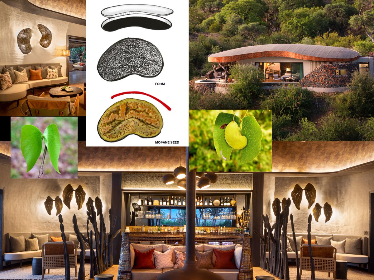 Mashatu_Reserve's tweet photo. At Mashatu Euphorbia, every villa's shape is based on the pod from the Mopane tree. The Mopane is hugely significant as it is the main source of food for all the animals during the very dry winter months.
#mashatu #mashatugamereserve #mashatueuphorbiavillas #mopanetree https://t.co/DXZJ8Vb9aZ