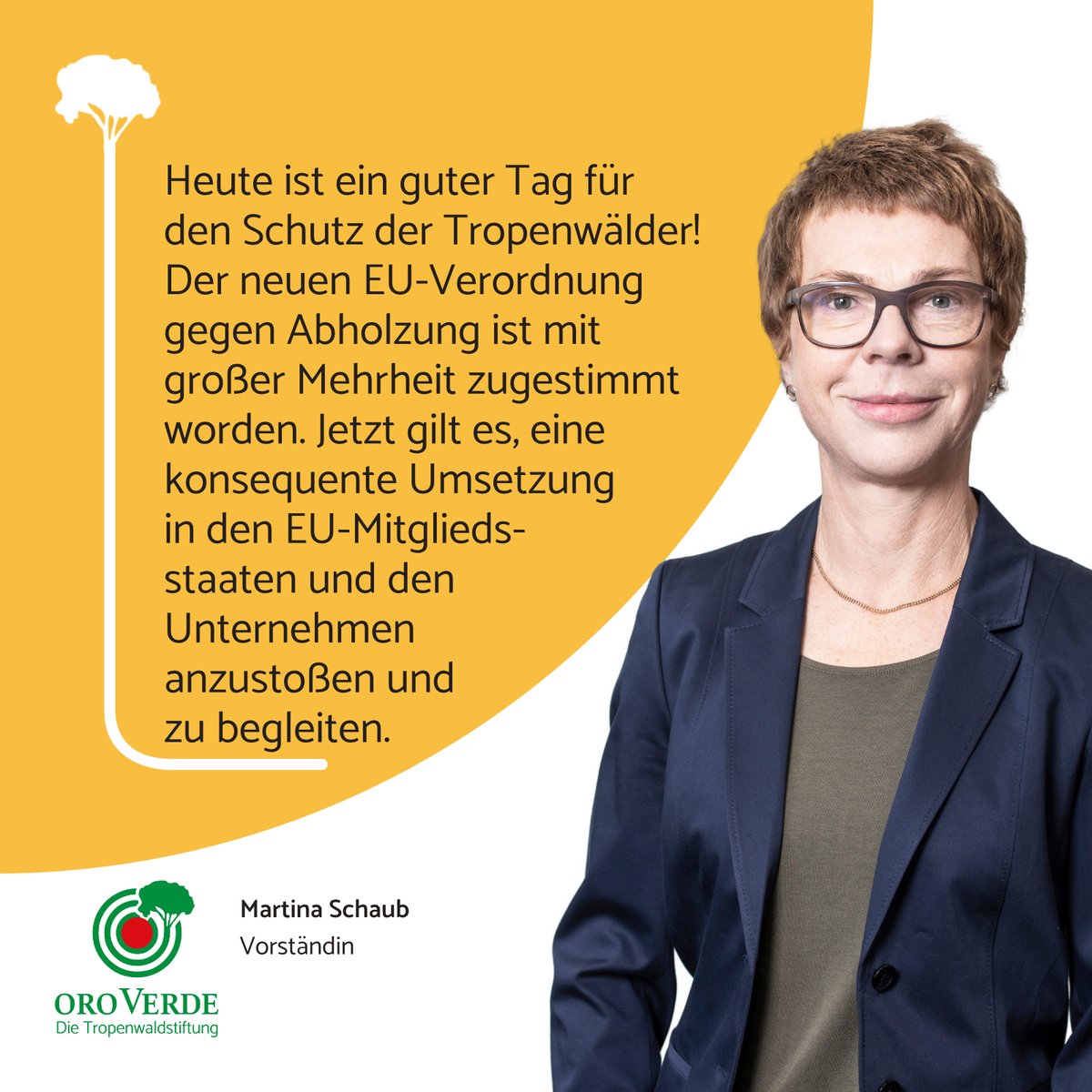 Mit großer Mehrheit stimmt das EU-Parlament für den Stopp importierter #Entwaldung. Ein großartiger erster Schritt dank der unermüdlichen Arbeit von @CHansenEU, @delarabur, dem NGO-Aktionsbündnis #Together4Forests und vielen mehr. Wir bleiben dran, es ist noch viel zu tun!