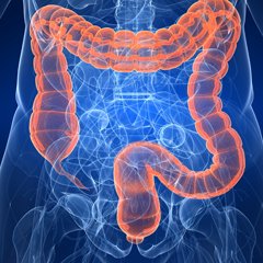 ISSalute_it's tweet photo. Il cancro del colon-retto è uno dei tumori più diffusi in Italia. E' quindi molto importante fare prevenzione dopo i 50 anni 👉https://t.co/X6bRghQPU9 #tumorecolon #prevenzione #diagnosi #colonretto https://t.co/bCvFxvQFqf