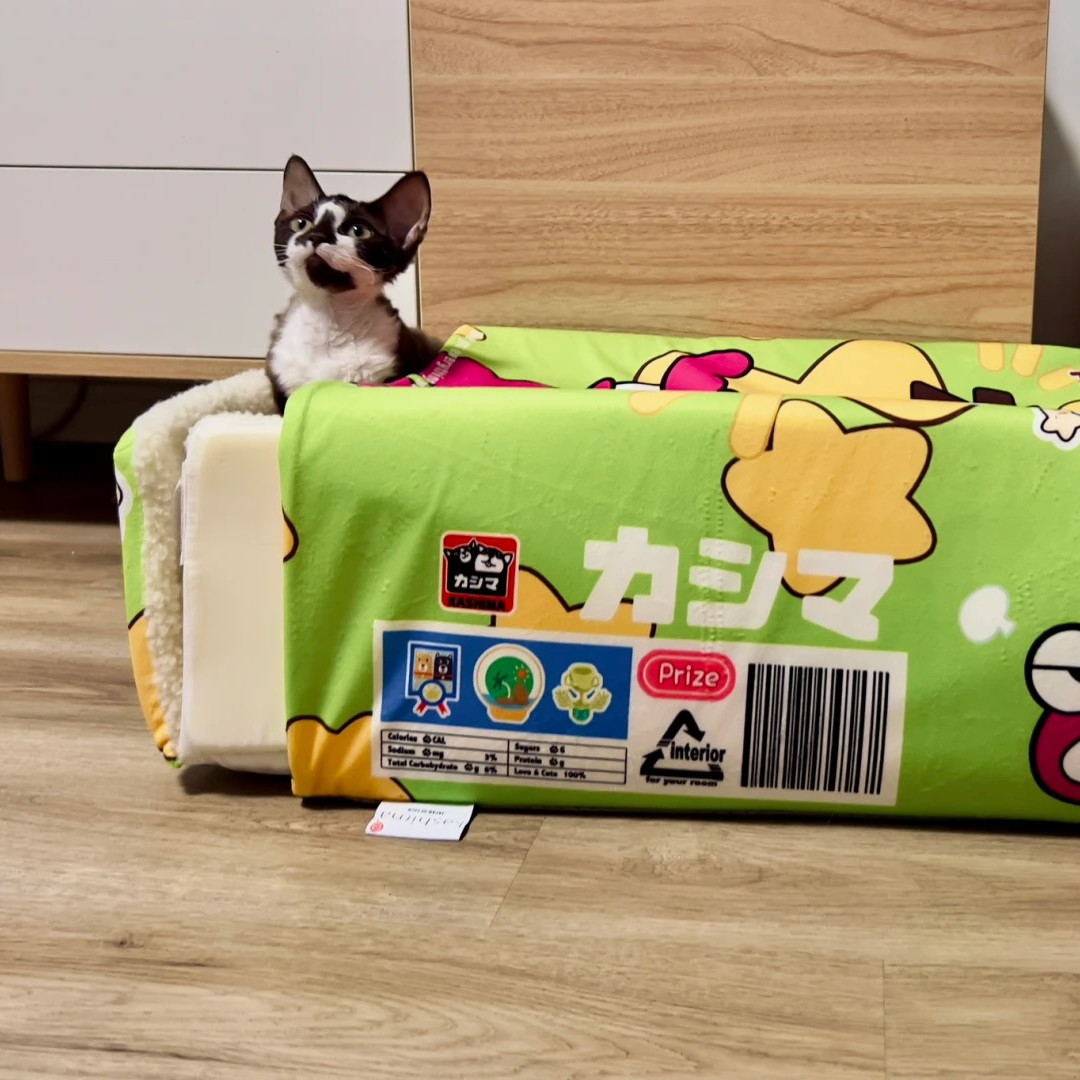 kashimaJP's tweet photo. 💥kashima大ヒット、常に欠品している商品!!🔥
本社の商品は全て高品質の綿を採用し、超豊満な充填物を持ちます。ベッドの厚さが見え、触ることができます。💖@crayon_official
＃クレヨンしんちゃん  #しん次元 #crayonshinchan #蠟筆小新 #チョコビ #짱구는못말려 #짱구는못말려극장판 #pethouse https://t.co/on3lKvzJsb