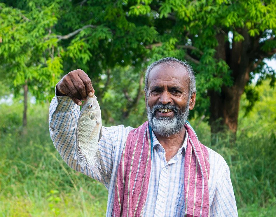 openmapping_ap's tweet image. Join our mapping projects 14658 &amp;amp; 14659 to support small farmers in Karnataka #India with inland fish farming. You will assist @hasiruaqua in making a positive impact on agriculture and promote sustainable farming practices! tasks.hotosm.org/explore
#mapforgood #sustainablefarming