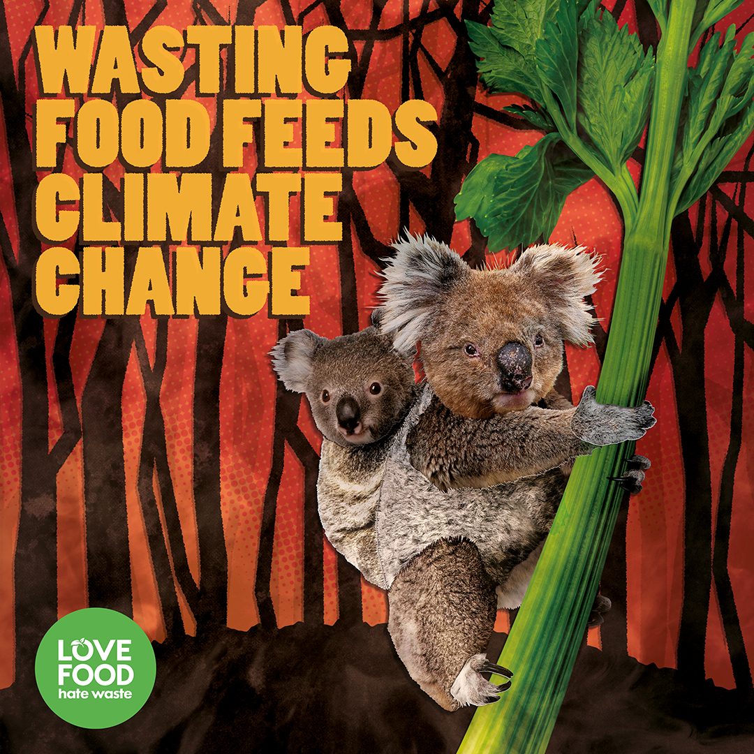 #WastingFoodFeedsClimateChange!

Wasting food not only wastes your money, but is wasting resources too; production to disposal, transporting to storing, all create unnecessary emissions.

#LoveFoodHateWaste #SopWastingFood #ClimateChange #HuntingdonshireComposts💚♻️🌈