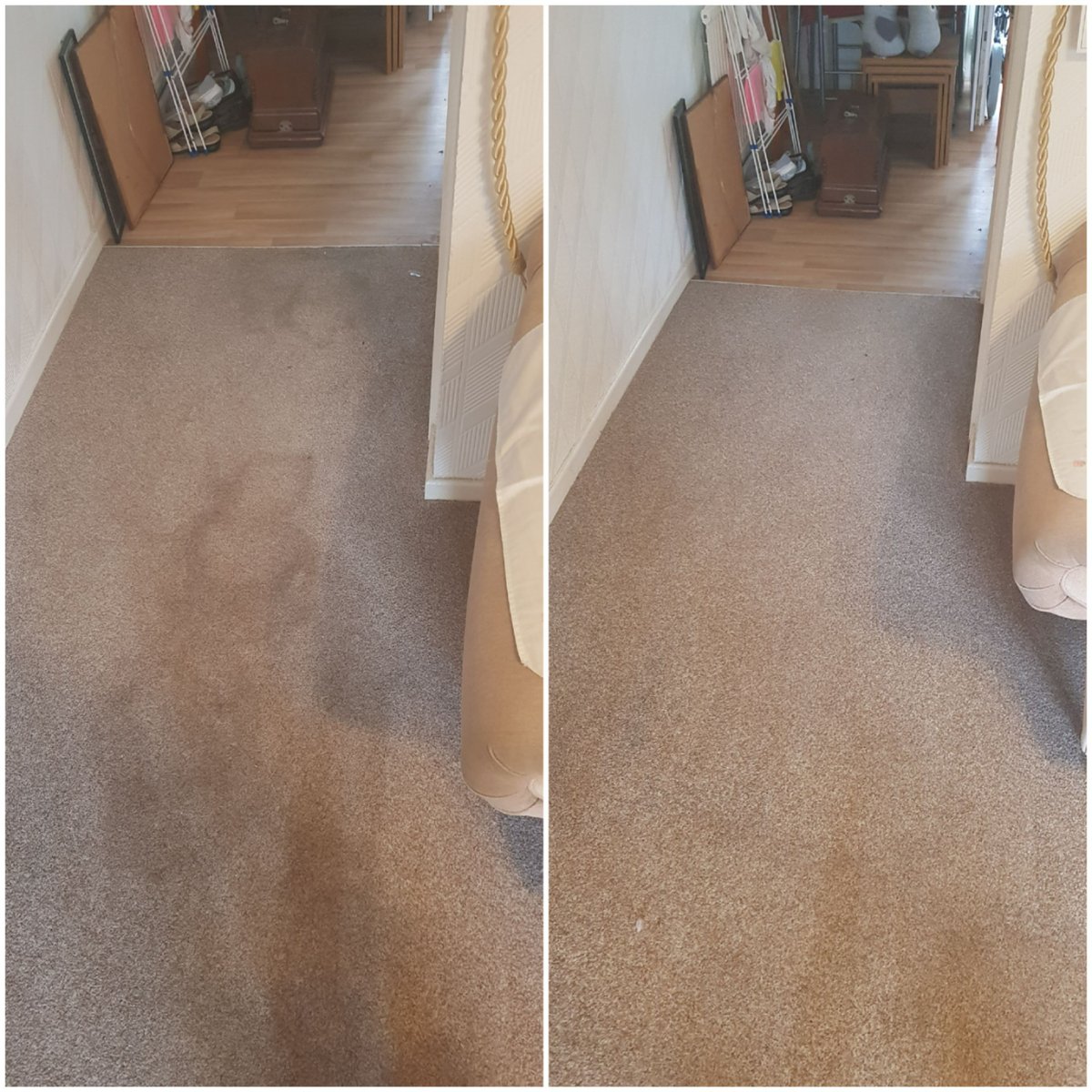 dmcarpetclean's tweet image. We don't just clean carpets, we make them sparkle! #DirtBegone #CarpetCleaningGoals #CleanHouseHappyHeart