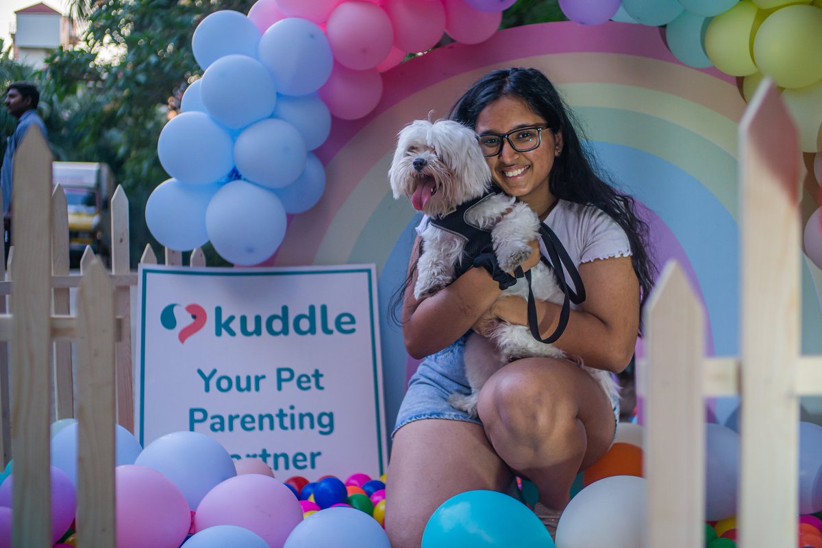 Kuddle tweet media
