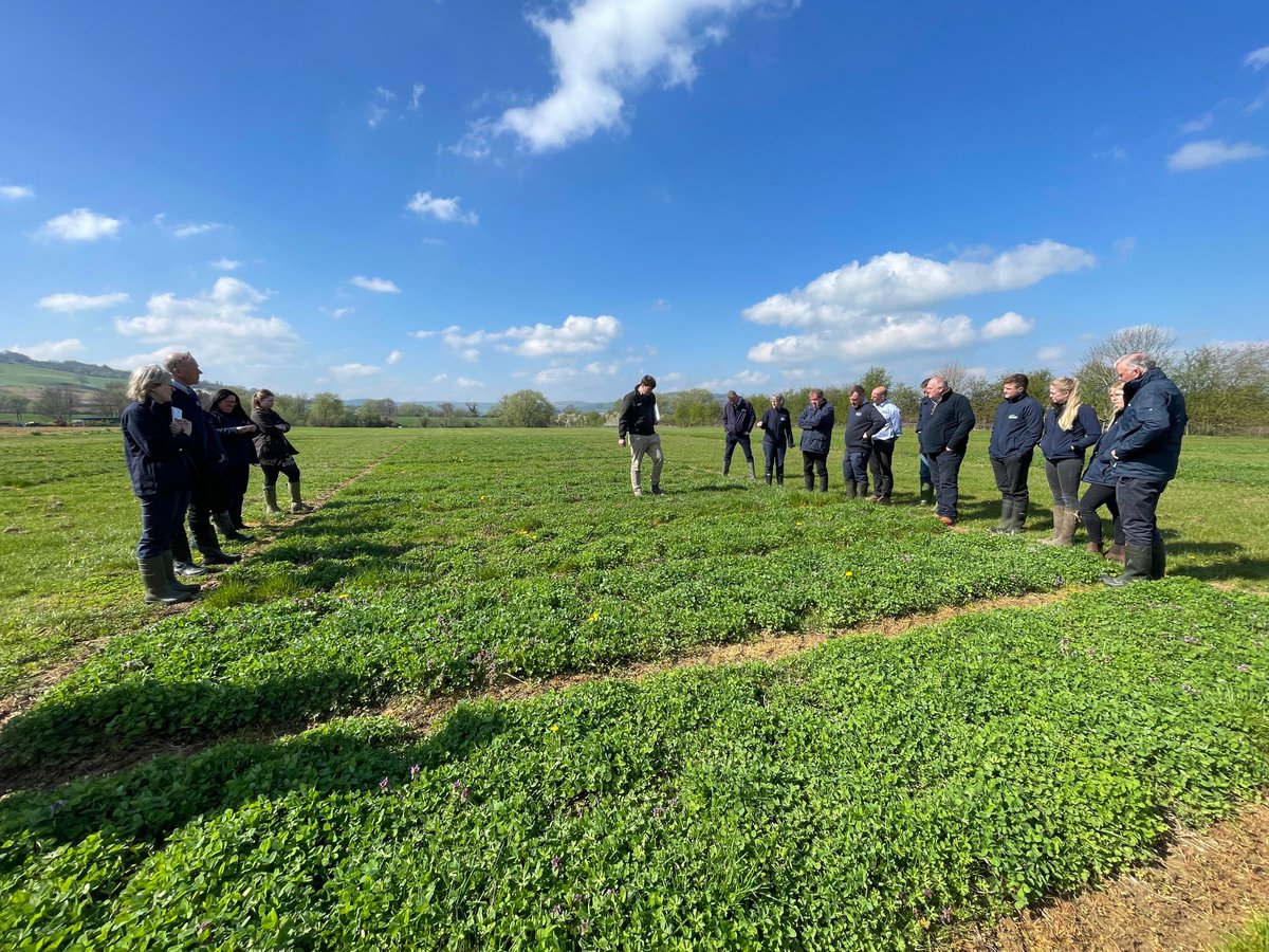 DLFSEEDS_UK's tweet photo. The long-anticipated temperature rise heralded a busy week for our Didbrook trials site, which hosted 40 people over two days for training sessions ππ± Really positive and creative discussions took place for the season to come. #DLFSeeds https://t.co/jZtFlGEbL8