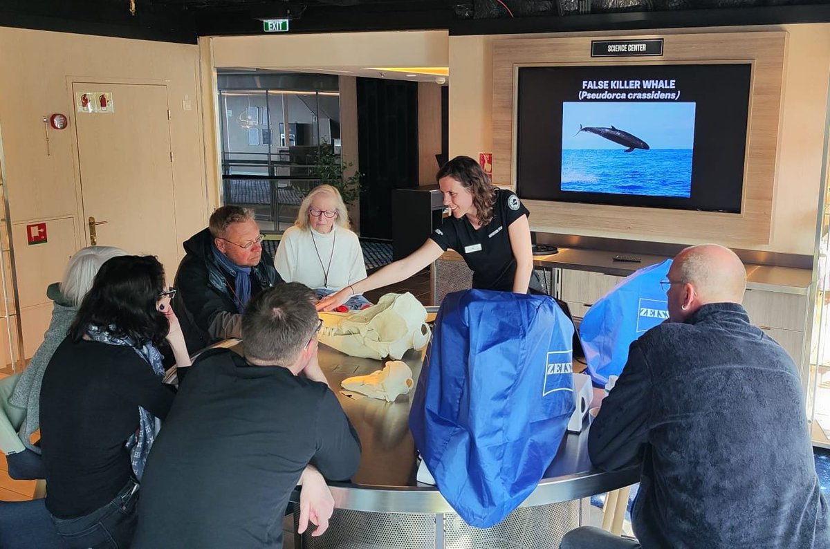 ORCA_web's tweet photo. Ocean Conservationist Marjolein taught guests on @HurtigrutenEXP #MSOttoSverdrup about whale diets! She explained the difference between baleen & toothed whales & demonstrated how whale skulls differ from land mammals. Realistic bone clones were perfect tools to show the guests! https://t.co/z4yP8rOU4p