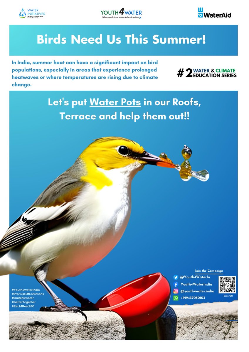 Youth4WaterIn's tweet photo. Birds need us this summer. Let's put #WaterPots in places the birds can access. Let's help them fight water scarcity!
#Youth4WaterIndia #BeatTheHeat2023
@WaterAidIndia @wateraid @WaterInitiativ1 @talktosubhransu @MahanadiRiver @CycloneFaniCSO https://t.co/Du0YbTs1HP