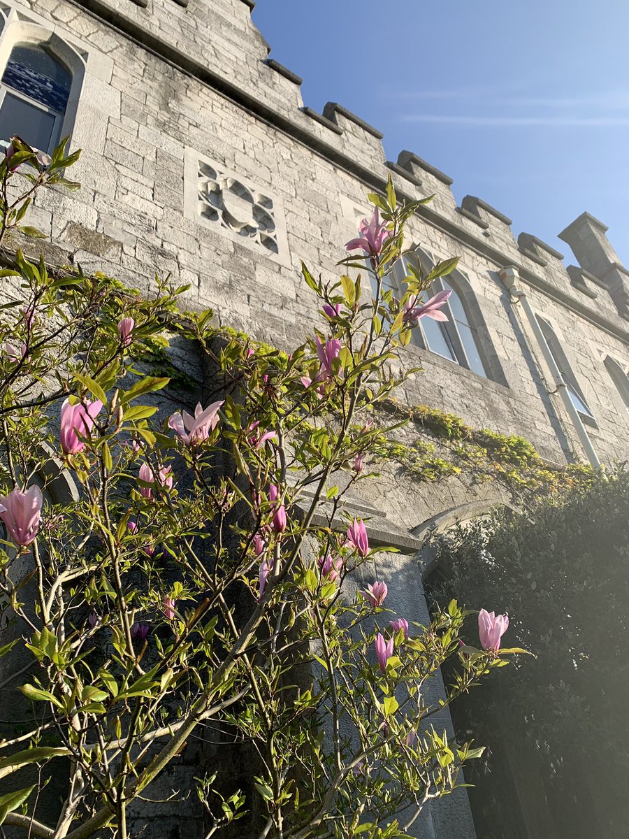 GreenCampusUCC's tweet photo. Beautiful day at @UCC for the annual Law & the Environment Conference🌿
With talks about the recent draft Planning & Development Bill, Rights of Nature and much more, this years conference theme is ‘Environmental Law as Administrative Governance’ https://t.co/emTSNojtwM