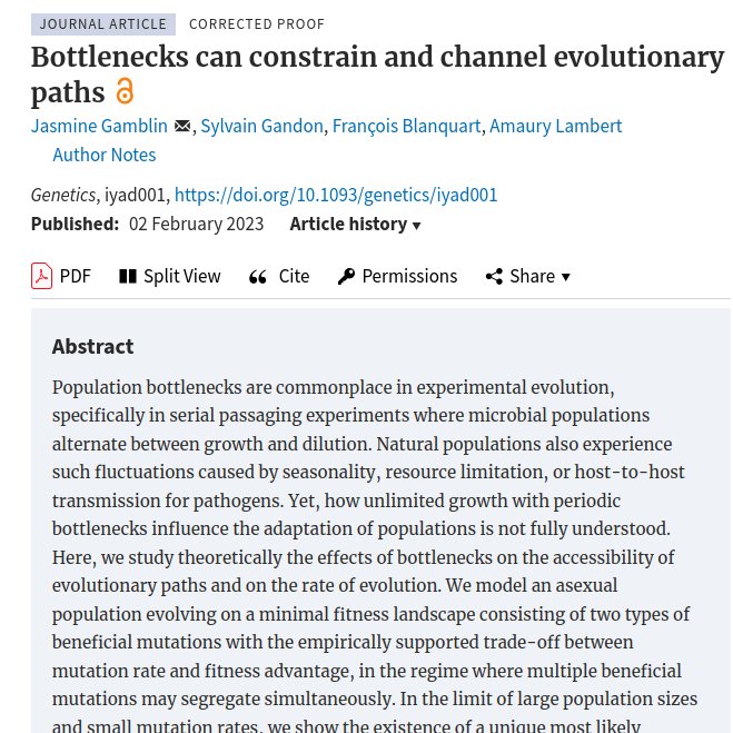 IAME_Center's tweet photo. #papersofthemonth
@GeneticsGSA: #Bottlenecks can constrain and channel #evolutionary paths

@FrancoisJB 

https://t.co/q1u1f2E5a1 https://t.co/jBs32n1EwZ