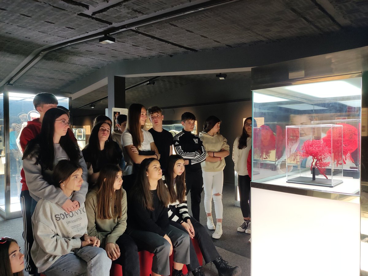 IesPintor's tweet photo. Los alumnos de 3°ESO del @IesPintor fueron a pasar el día a San Sebastián. Estuvieron visitando el Museo de Ciencias 🫀💡🪞y después pudieron disfrutar del día ☀️ en la playa y en la ciudad. Que pena da tener que volver a casa..." https://t.co/ip6v9Nef7D