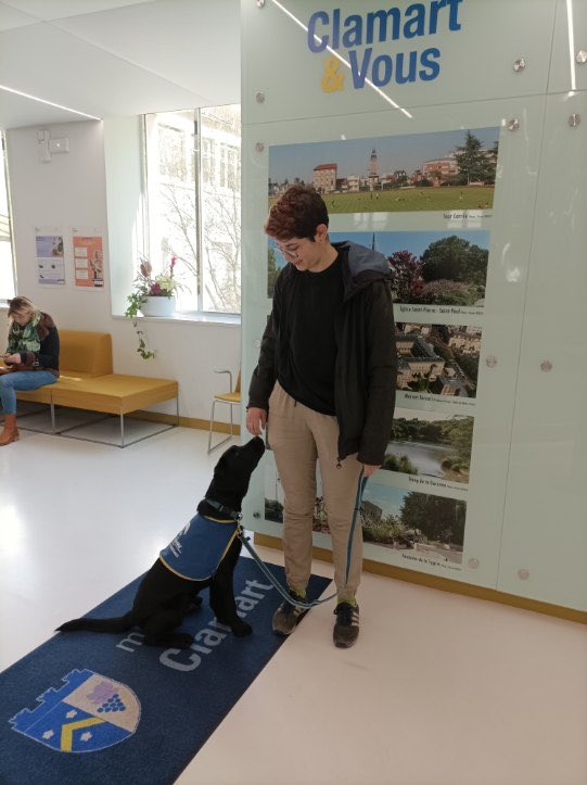 RachelAdil's tweet photo. Merci au service #Clamart et vous pour l’accueil #handichien https://t.co/OzHC41mDCl