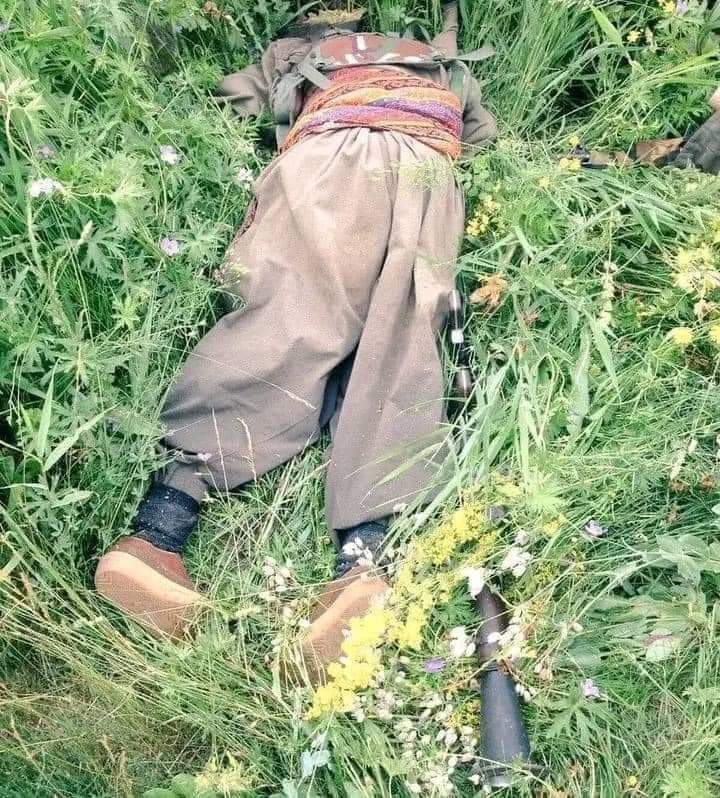 CemalDemirtas75's tweet photo. Bak bak bak.
Şu güzelliğe bak.
Bayramı da göremeden dead..
Mayısta halbuki bahar gelecek diyordu.
Katil Avcısı Kadim Devletim Tarafından, layık Olduğu şekilde, en yüksek dereceden,
Sapsarı torbaya layık görüldü.
#OOHHHH
#SöylerimGeçerim https://t.co/LytQ6xpG5H