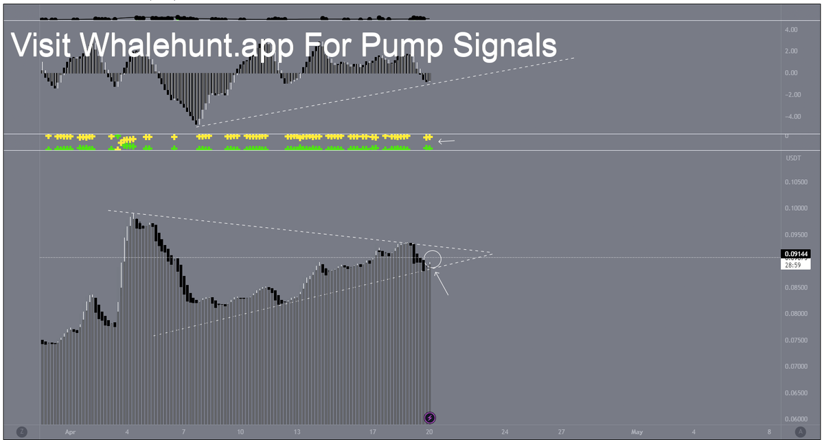 AndrewGriUK's tweet photo. #DOGE DOGE is creating higher lows on 4H -- and a significant net buying / accumulation is taking place at the current price levels. 

A bounce 'breakout' may take place from this price point. 

Spotted at 0.09100 

TAYOR.
 #DOGEUSDT https://t.co/voHh3dr0Gw