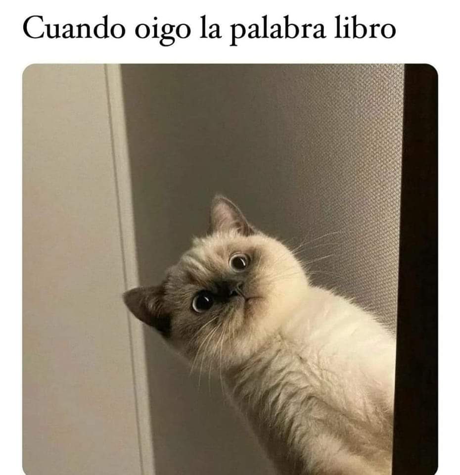 yoleoNovela's tweet photo. #FelizJuevesATodos https://t.co/0aAgL9DBNU