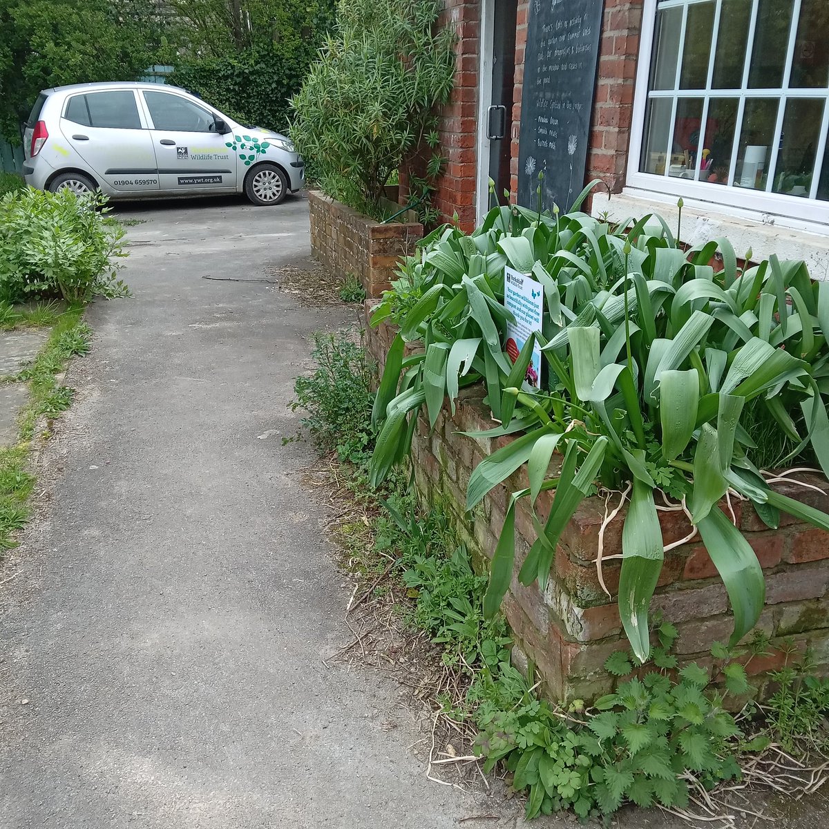 SpurnAndyG's tweet photo. Office nature update. The dead vegetation (natures carpet) is what we all feel we need to clear but why. @YorksWildlife This is front of house. @Hullccnews @pearsonparkhull https://t.co/4P8ZLD4MDN