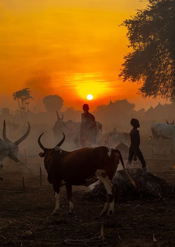 All in all, all of our trips are crafted with the best parts of #SouthSudan to explore 

Check out some of our itineraries at southsudantour.com

#VisitSouthSudan