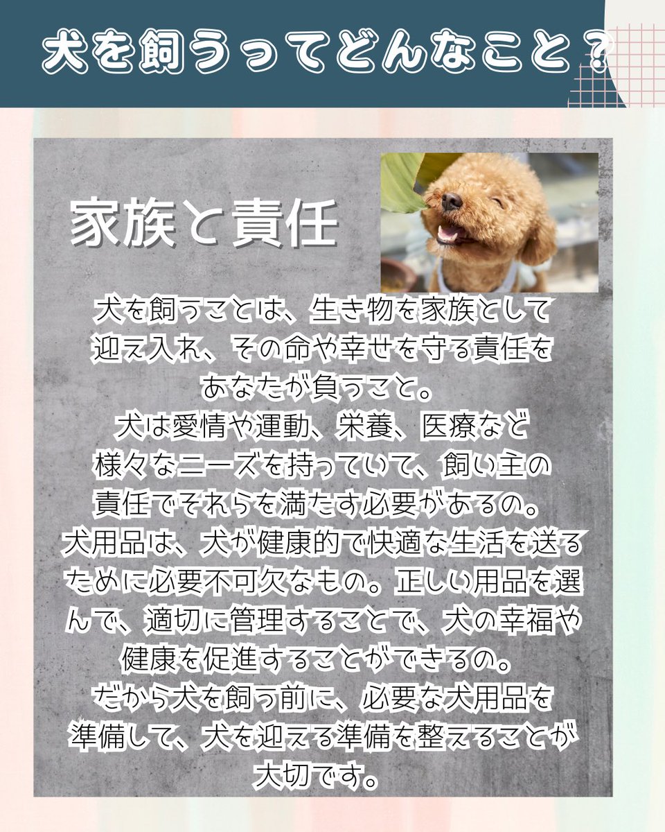 Iyashinoyakata's tweet image. 犬は家族ってこと忘れないでね🐶

#犬のしつけ #飼い主の責任 #犬の健康  #犬初心者 #犬の飼い方 #犬好きな人と繋がりたい #犬のいる生活 #犬のいる暮らし #癒しの館