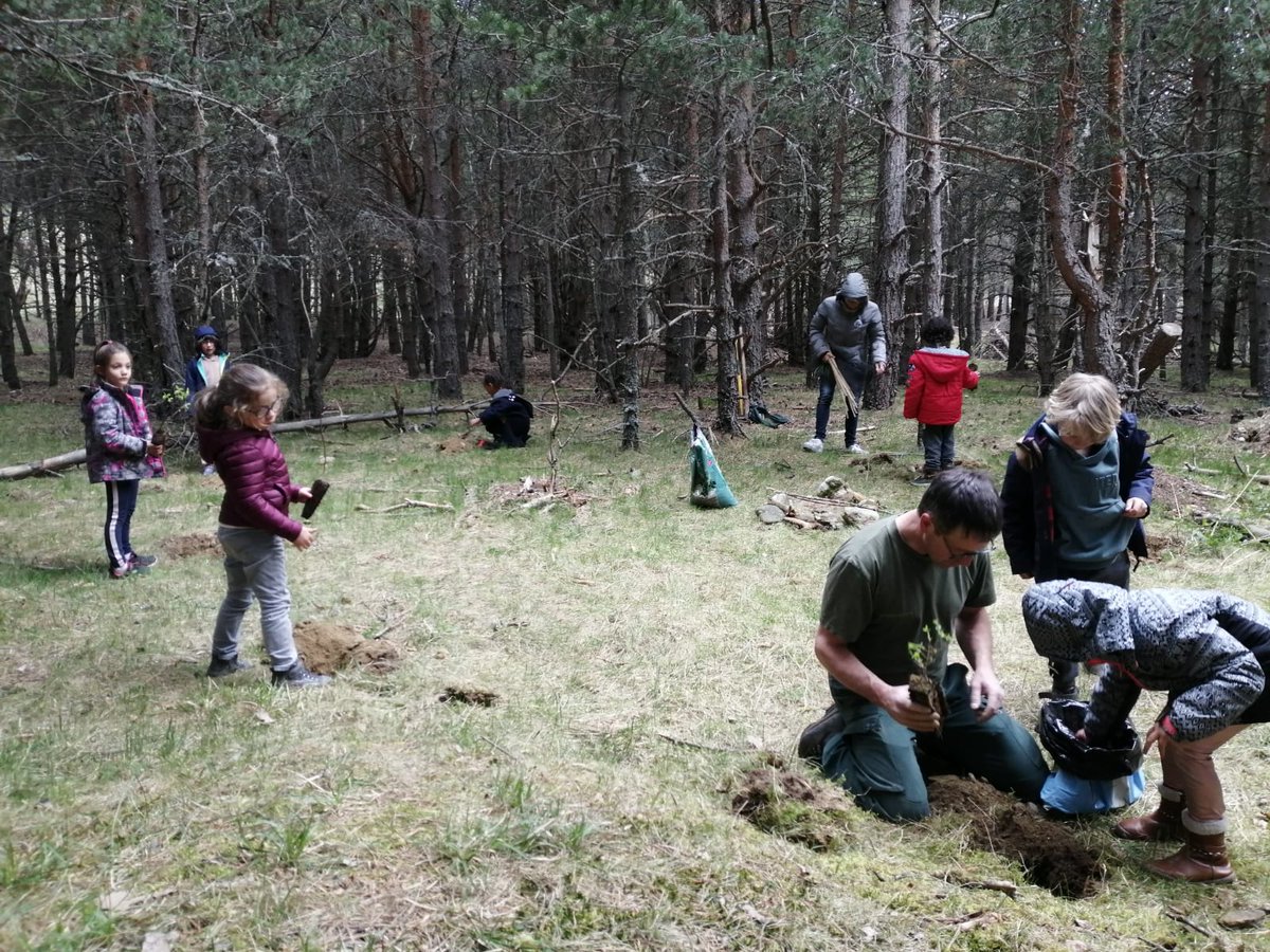MaterCapcirGar's tweet photo. Dans le cadre de la #JournéeInternationaleDesForêts les MS et GS ont eu la chance de planter des arbres (érables, pruniers, cerisiers, cornouillers, fusains...) dans l'espace forêt.🌳🌲🌳🌲🌳
Merci l'agent de l' #ONF du village pour son intervention.
#EcoleDehors #Classedehors https://t.co/WbjPnBf7OL