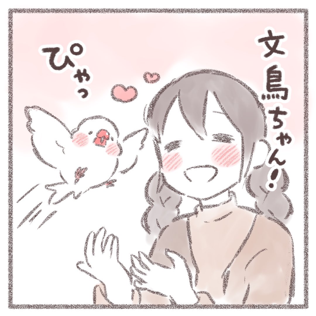 かいぬし、おかえり!💕🕊

#文鳥 #cuteanimals 