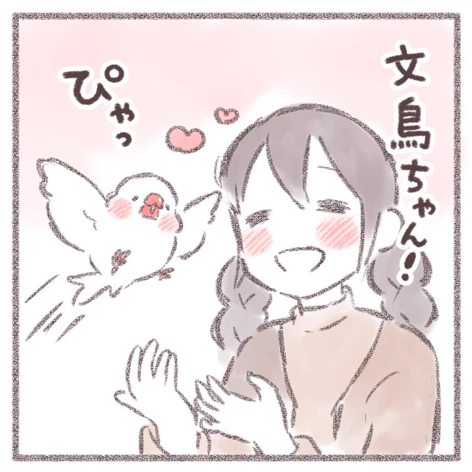 かいぬし、おかえり!💕🕊

#文鳥 #cuteanimals 