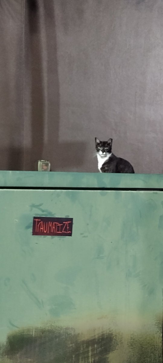 TRAUMATIZE aka TRAUMACORE 🇨🇺 tweet media