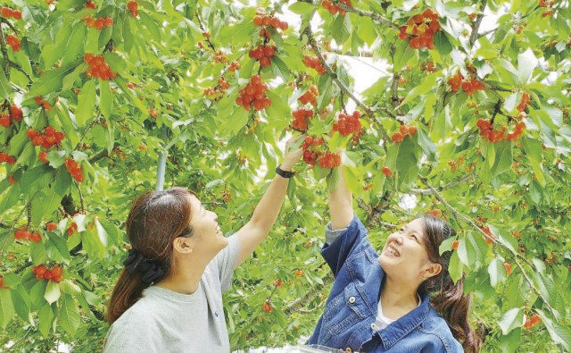 タビノスケです♪

今回は雲上の温泉、あじさいやさくらんぼ狩りを楽しめるバスツアーを紹介するね🚌😀

標高1,800ｍ⛰️露店風呂があるホテルに宿泊♨️
#さくらんぼ狩り 食べ放題（30分）🍒
小野池あじさい公園で約8,000株のあじさい観賞🎵

詳細はこちら⬇️
bit.ly/41GVf1u

#群馬 #バス旅行