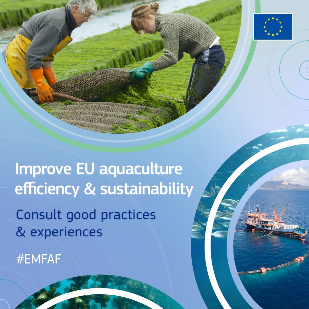 CINEA 🇪🇺 tweet media